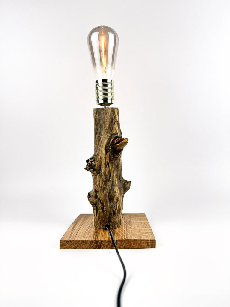 Lampă decorativă de birou handmade din stejar, ramură naturală verticală