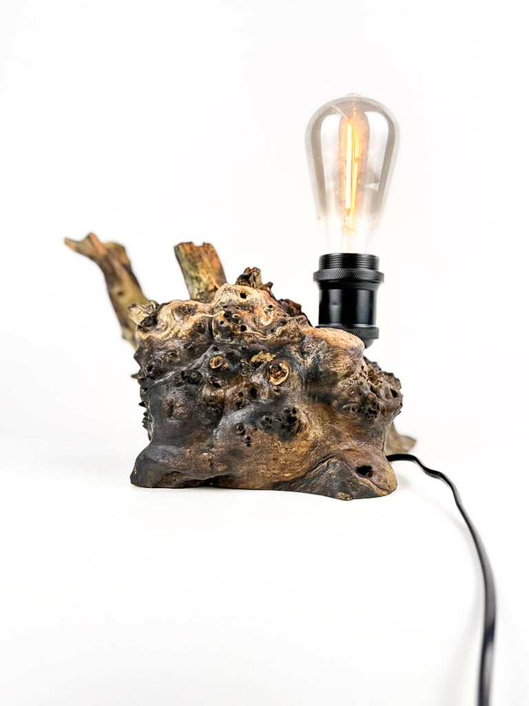 Lampă decorativă din lemn de plop, rădăcină naturală