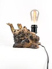 Lampă decorativă din lemn de plop, rădăcină naturală
