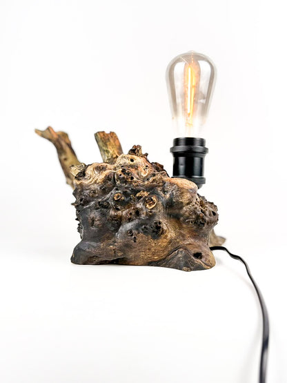 Lampă decorativă din lemn de plop, rădăcină naturală