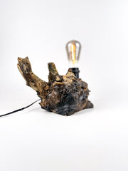 Lampă decorativă din lemn de plop, rădăcină naturală