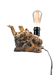 Lampă decorativă din lemn de plop, rădăcină naturală
