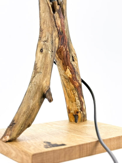 Lampă decorativă din lemn de stejar, ramură naturală