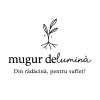mugurdelumina