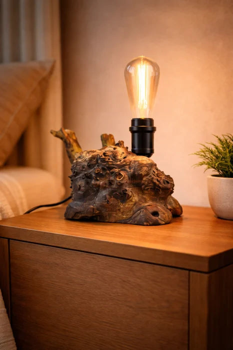 Lampă din rădăcină de plop , bec Edison – handmade
