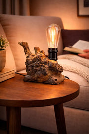 Lampă din rădăcină de plop , bec Edison – handmade