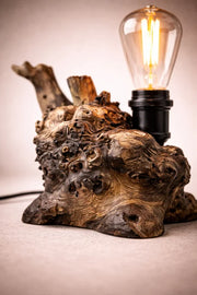 Lampă din rădăcină de plop , bec Edison – handmade
